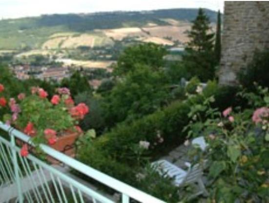 B&B Il Colle Serra San Quirico Eksteriør bilde