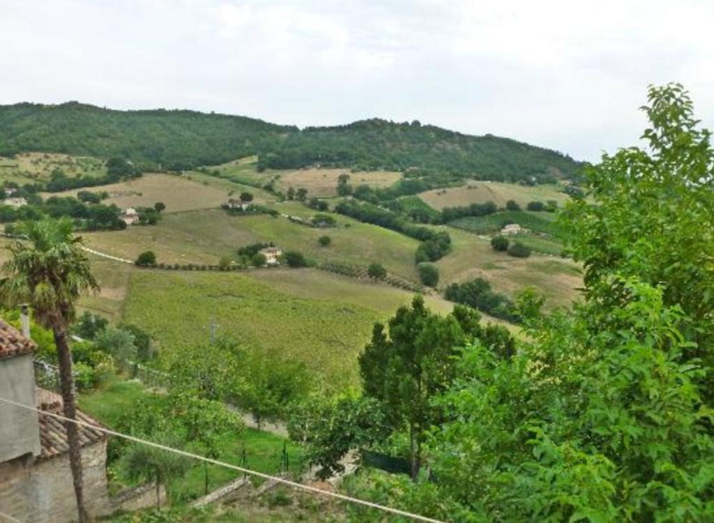 B&B Il Colle Serra San Quirico Eksteriør bilde
